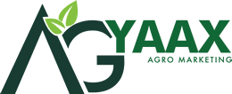 Logo AG-YAAX